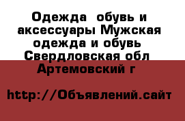 Одежда, обувь и аксессуары Мужская одежда и обувь. Свердловская обл.,Артемовский г.